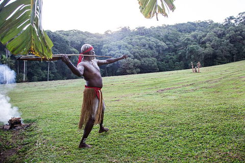 Classic Kuranda By Skyrail And Scenic Railway Including Rainforestation, Koala And Wildlife Park And Pamagirri Aboriginal Experi - Local Tourism 5
