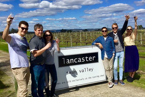 Swan Valley Tour From Perth: Wine, Beer And Chocolate Tastings - Local Tourism 1