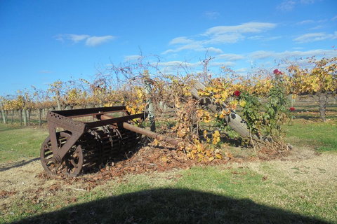 Swan Valley Tour From Perth: Wine, Beer And Chocolate Tastings - Local Tourism 3