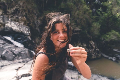 Springbrook AndTamborine Rainforest Tour Incl Natural Bridge And Glow Worm Cave - Accommodation Australia 1