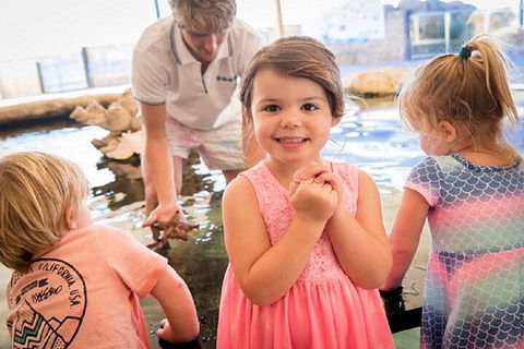 Lunch And General Admission Entry At AQWA - Accommodation Australia 4