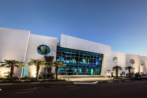 Cairns Aquarium Admission Ticket - Local Tourism 4