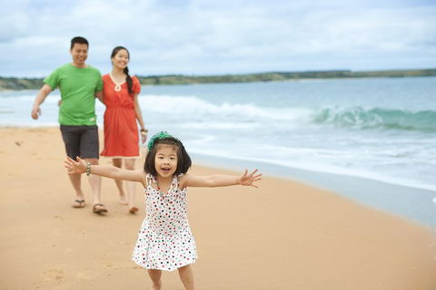 Phillip Island Penguin Parade Day Trip With Koala Conservation Reserve Visit - Local Tourism 5