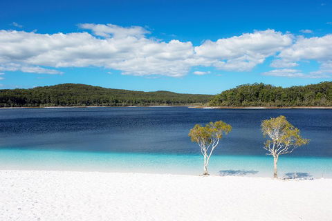 All-Inclusive Fraser Island Day Tour - Accommodation Australia 3