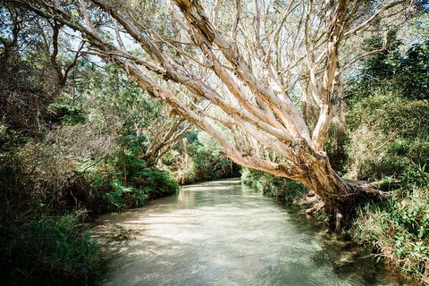 3-Day Fraser Island Resort Package - Local Tourism 5