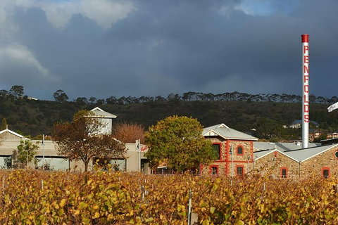 Penfolds Magill Estate Iconic Experience - Accommodation Australia 3