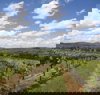 Hunter Valley Wine Tour from Sydney incl Lunch Cheese Chocolate and Distillery - Local Tourism