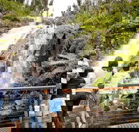 Lake Mountain Snow Trip including Yarra Valley Chocolaterie from Melbourne - Accommodation Australia