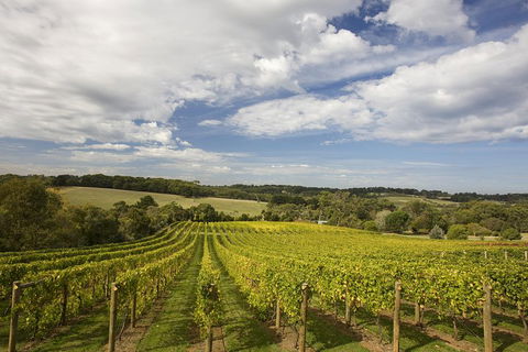 Mornington Peninsula Farm Produce Wine And Cider Tour - Local Tourism 5