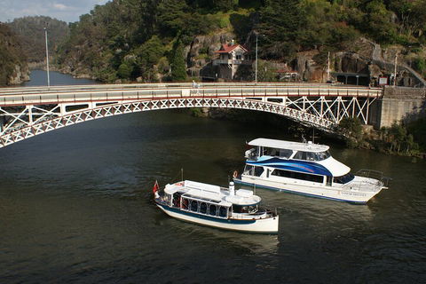 2.5 Hour Morning Discovery Cruise Including Sailing Into The Cataract Gorge - Accommodation Australia 5